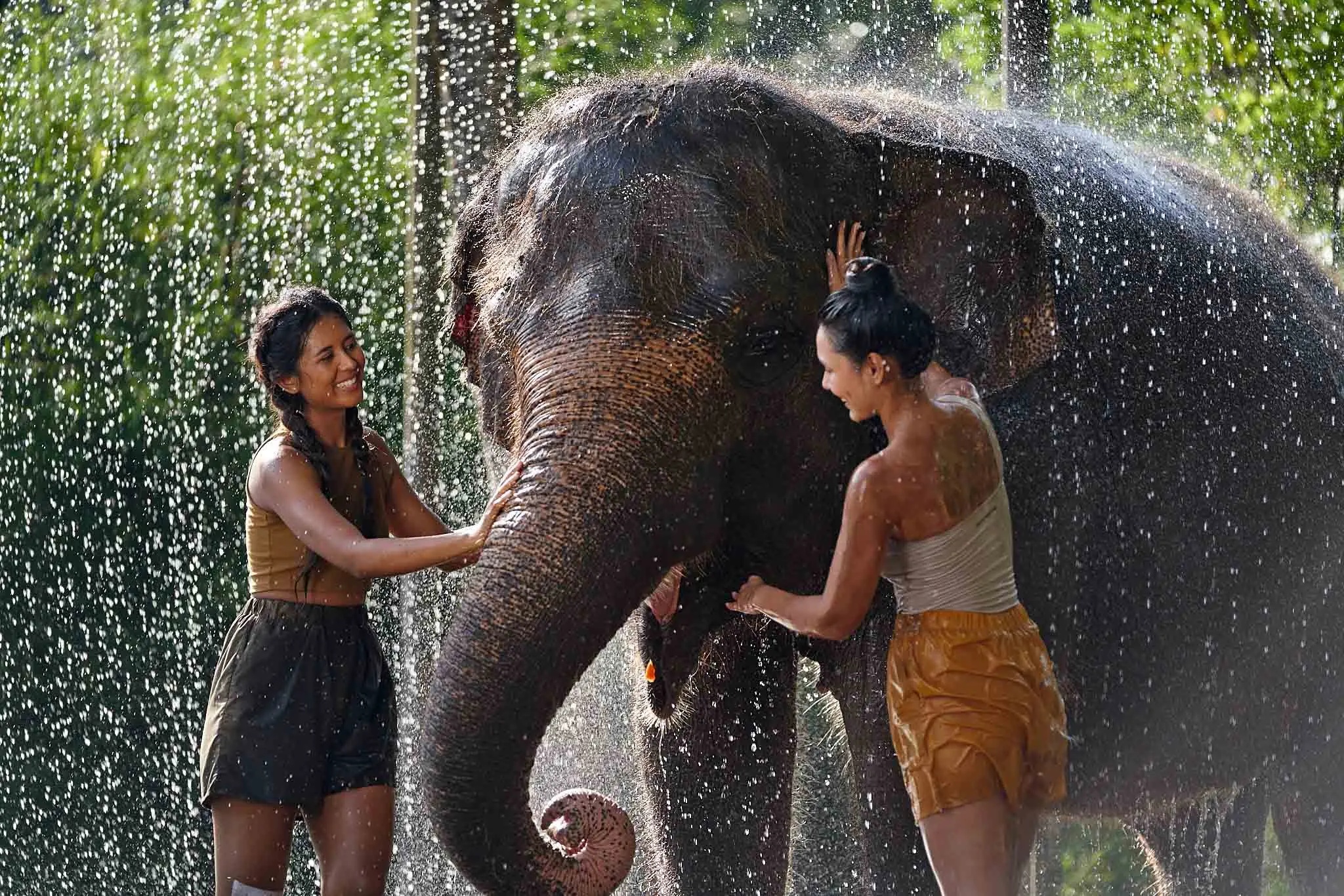 Bali Elephant Bathe experience