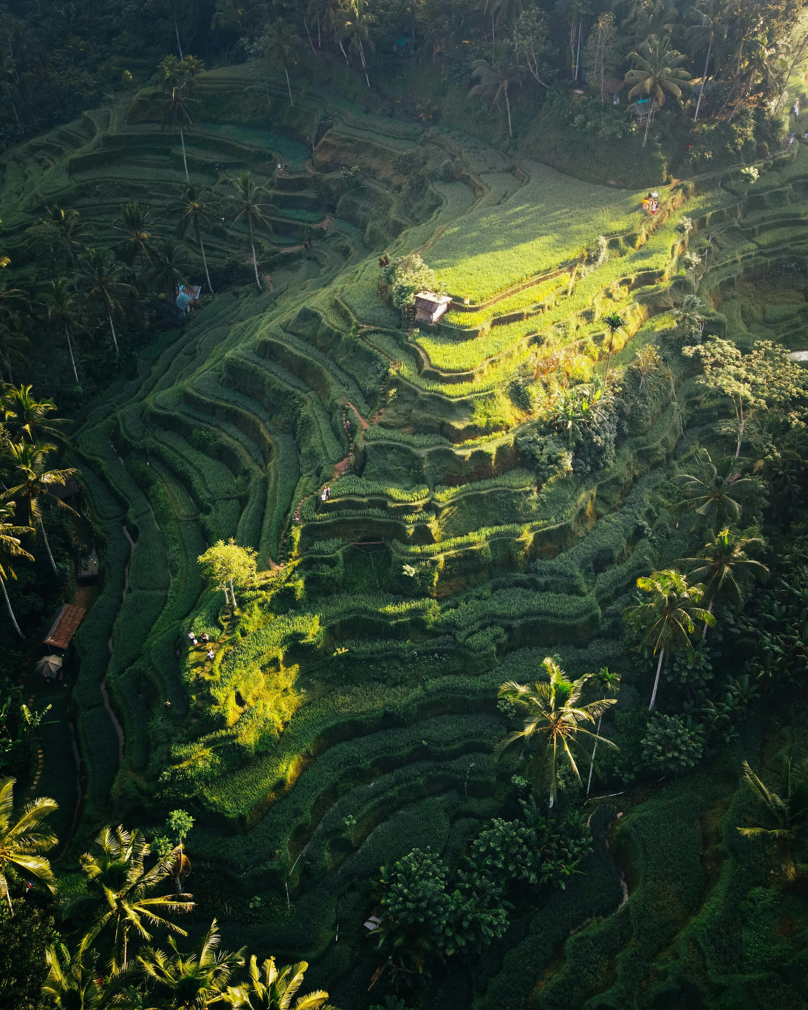 Meraya Tour Open Trip in Bali