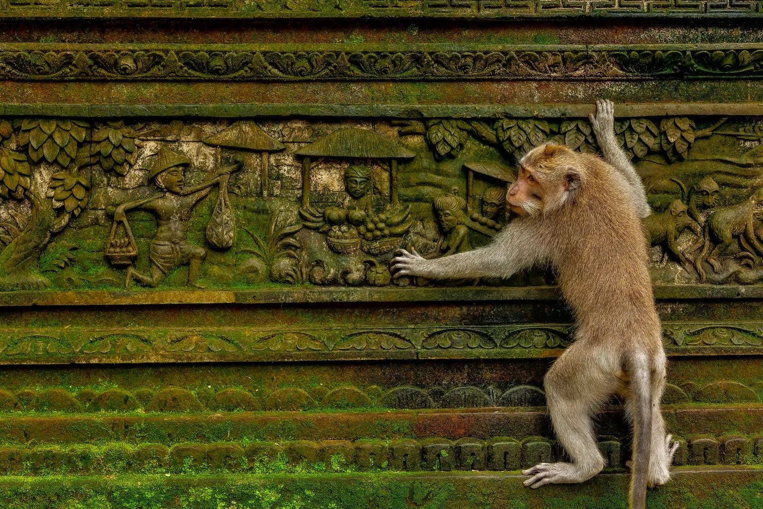 Ubud Tour