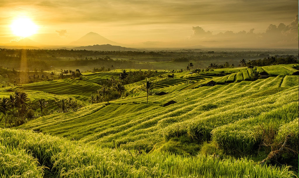West Bali Tour